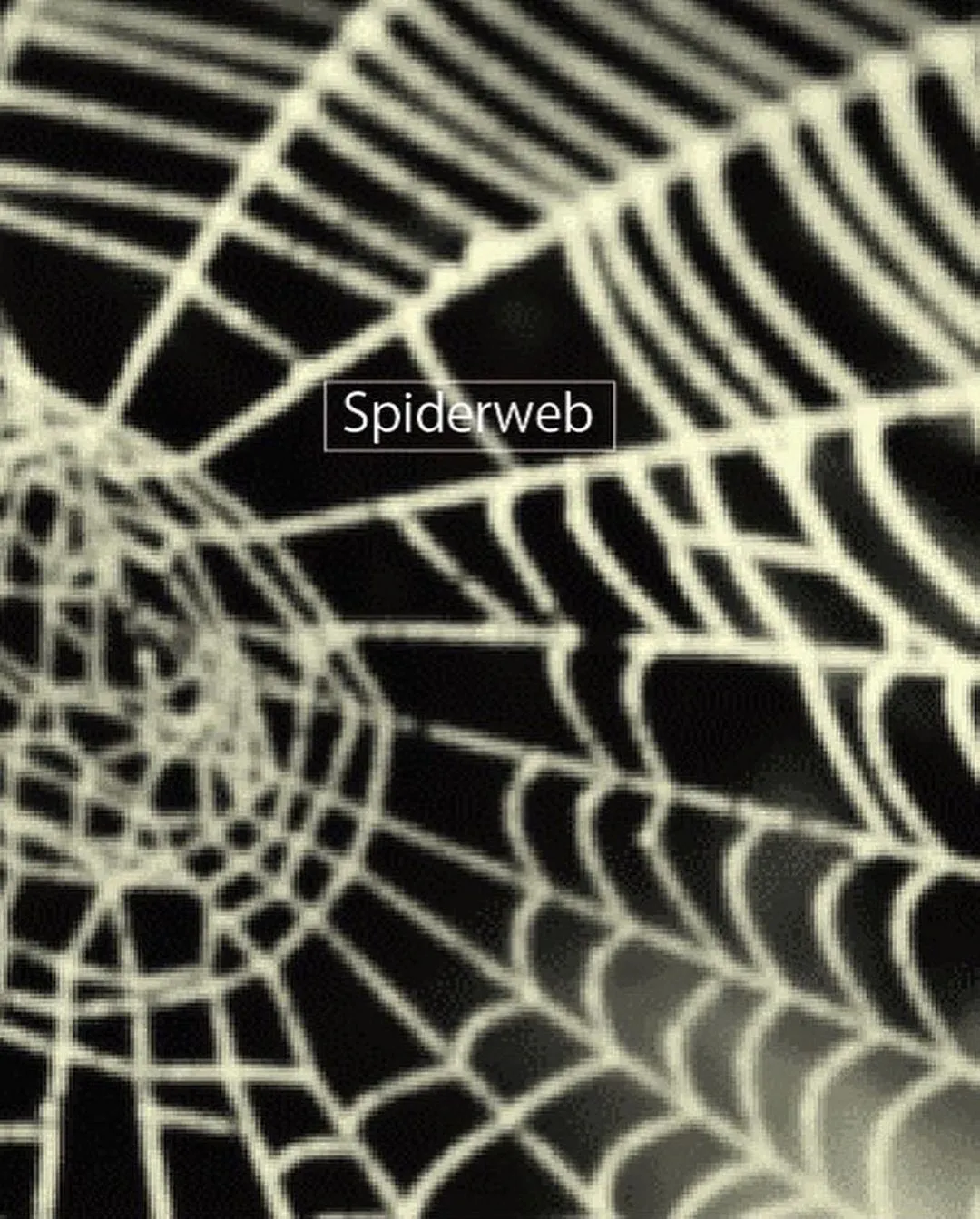 AMAKUSA Spiderweb Can 350ml　アマクサ スパイダー ウェブ　※その他の商品と合わせて合計で4本以上のご購入をお願い致します。