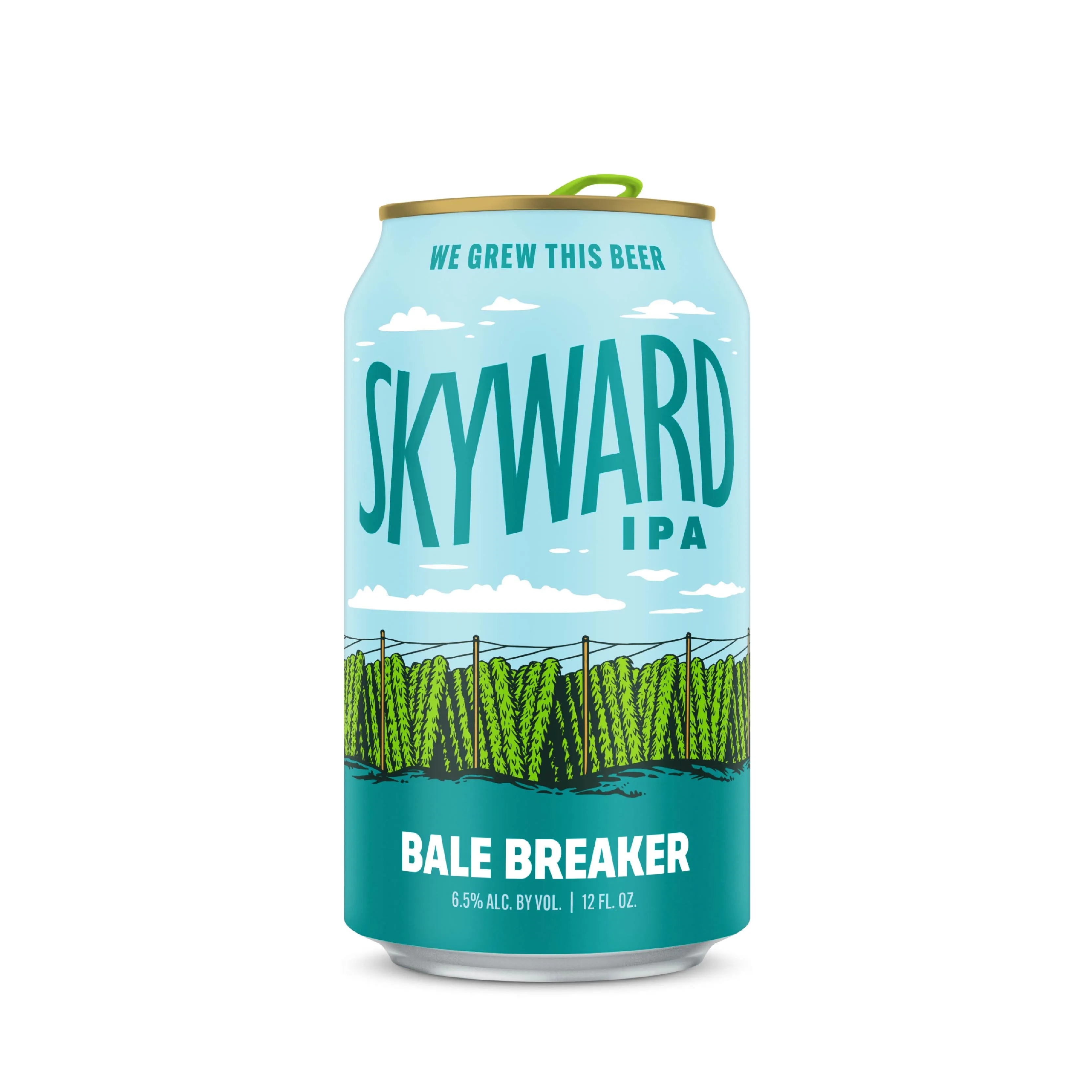 Bale Breaker Skyward Can 355ml　ベイル ブレイカー スカイワード