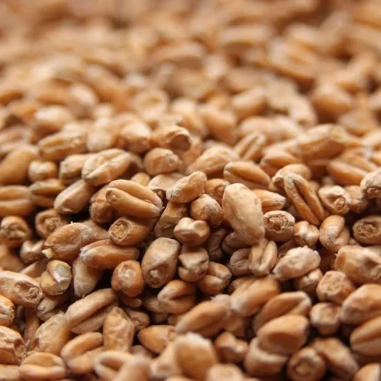 Pale Wheat Malt - Weyermann