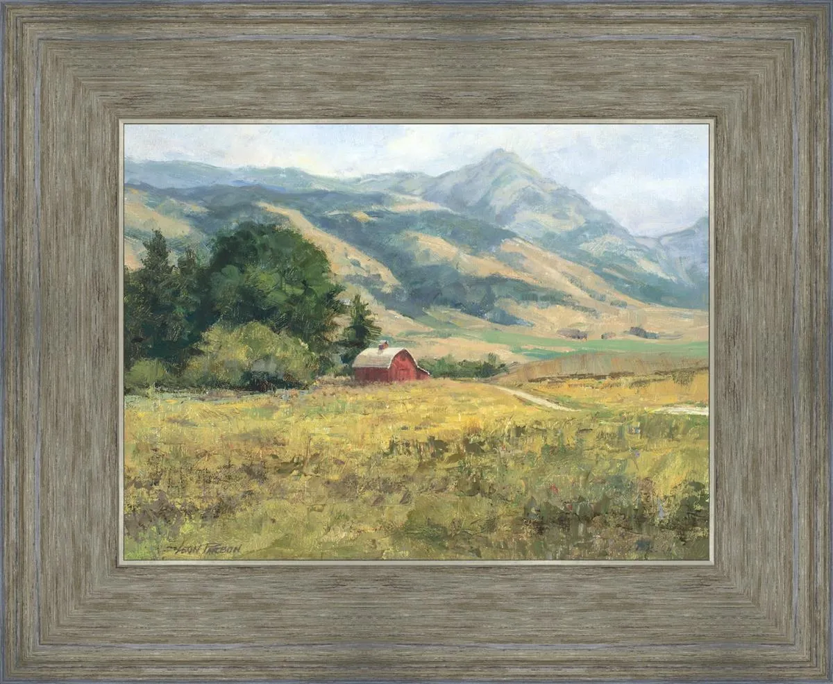 Red Barn in The Wilderness